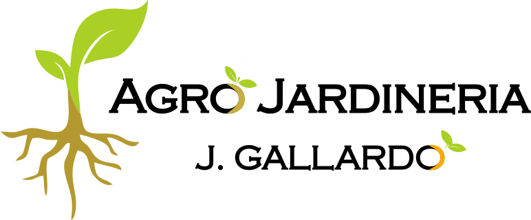 Estrategia Digital Integral Mejora SEO Orgánica Publicidad SEM Impactante Diseño Gráfico Innovador Creación Logotipos Únicos Ciberseguridad Empresarial Gestión Redes Sociales Desarrollo Web Profesional Marketing Contenidos Creativos Analítica Web Avanzada